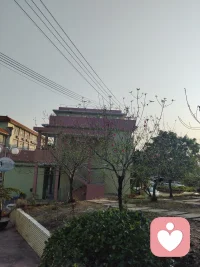 孩子是父母的一面镜子，孩子的问题就是父母的问题的折射。
每天愁眉苦脸的父母孩子能不焦虑抑郁吗？
像我一个切一个马铃薯也能发美，孩子也跟着一起来欣赏这种美，自然孩子也能从生活中发现美好。自然就能阳光。


每天都刻意从生活中找出美感来。这样你才能更开心，才不会烦恼。配图