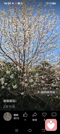 孩子是父母的一面镜子，孩子的问题就是父母的问题的折射。
每天愁眉苦脸的父母孩子能不焦虑抑郁吗？
像我一个切一个马铃薯也能发美，孩子也跟着一起来欣赏这种美，自然孩子也能从生活中发现美好。自然就能阳光。


每天都刻意从生活中找出美感来。这样你才能更开心，才不会烦恼。配图