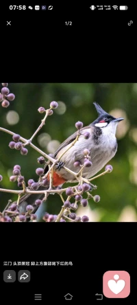 孩子是父母的一面镜子，孩子的问题就是父母的问题的折射。
每天愁眉苦脸的父母孩子能不焦虑抑郁吗？
像我一个切一个马铃薯也能发美，孩子也跟着一起来欣赏这种美，自然孩子也能从生活中发现美好。自然就能阳光。


每天都刻意从生活中找出美感来。这样你才能更开心，才不会烦恼。配图