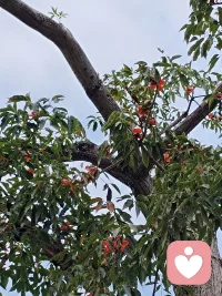 孩子是父母的一面镜子，孩子的问题就是父母的问题的折射。
每天愁眉苦脸的父母孩子能不焦虑抑郁吗？
像我一个切一个马铃薯也能发美，孩子也跟着一起来欣赏这种美，自然孩子也能从生活中发现美好。自然就能阳光。


每天都刻意从生活中找出美感来。这样你才能更开心，才不会烦恼。配图