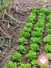 让孩子过着童话般的生活，想不开心都难。何来抑郁何来休学，何來躺平…配图