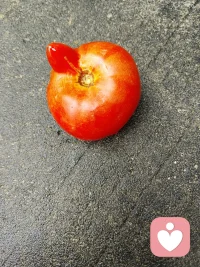 让孩子过着童话般的生活，想不开心都难。何来抑郁何来休学，何來躺平…配图