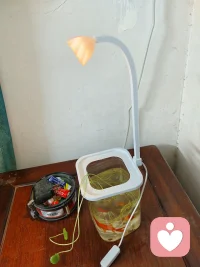 让孩子过着童话般的生活，想不开心都难。何来抑郁何来休学，何來躺平…配图