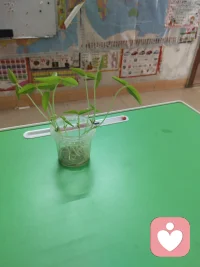 初入心途：在破碎的褶皱里，看见光的模样
 
拿到家庭教育指导师证书的那一刻，指尖抚过烫金的字迹，满心都是对这份职业的憧憬——以为会是陪家长解锁育儿智慧，伴孩子奔赴成长坦途，在温馨的亲子互动里，见证一个个家庭的温暖模样。可真正站在心理指导的岗位上，直面那些真实的求助时，才发现眼前的世界，满是家庭关系的褶皱与心灵的阴霾。
 
我见过太多拧巴的亲密关系，两性之间的沟通只剩指责与沉默，曾经的温情被琐碎磨成针尖，每一次对话都成了彼此的消耗；也遇见过边界模糊的亲子联结，错位的依恋困住了孩子的成长，也束缚了家长的人生，那些看似浓烈的爱，实则成了彼此的枷锁；还有更多被情绪裹挟的灵魂，焦虑、迷茫、自我内耗，在心理的泥沼里独自挣扎，连呼吸都带着疲惫。这些破碎的片段、失衡的关系、扭曲的情绪，像一张张密网，猝不及防地将我包裹，让初入行业的我，生出满心的无力与惶恐，甚至一次次问自己：我真的能Hold住吗？
 
这份无力，并非源于对难题的畏惧，而是初触人心深处的柔软与脆弱时，那份沉甸甸的共情。当倾听成为常态，当那些压抑已久的委屈、无人理解的痛苦、难以言说的挣扎，一字一句砸进心里，才懂心理指导从不是简单的“讲道理”“给方法”，而是要蹲下来，走进对方的世界，接住那些摇摇欲坠的情绪，陪他们在黑暗里，慢慢找到光的方向。而这份接住的力量，需要的不仅是专业的知识，更是一颗足够强大、足够温柔，且能在共情与抽离间找到平衡的心。
 
我开始明白，这份职业遇见的“不健全”与“不健康”，从来不是生活的全部，只是被生活的风雨打湿了的角落。那些带着问题而来的家庭与个人，并非天生的“糟糕者”，只是在关系的相处里、在情绪的处理中，走偏了方向，弄丢了方法，他们带着满身的疲惫求助，本质上，都是在渴望被理解、被看见，渴望找回关系的温度，找回内心的平静。而我的存在，不是要去评判谁的对错，不是要去修补完美的模板，而是做一个温柔的陪伴者、专业的引导者，帮他们梳理缠绕的情绪，厘清错位的关系，找到问题的症结，然后陪着他们，一点点拆掉心里的墙，一点点重建对生活的信心。
 
初入心途的慌乱与无措，终究会在一次次实践中，慢慢沉淀为前行的力量。那些见过的破碎，会让我更懂关系的珍贵；那些听过的痛苦，会让我更知共情的重量；那些暂时的无力，会成为我不断学习、不断成长的动力——去深耕专业知识，去打磨沟通技巧，去修炼强大的内心，让自己既有接住情绪的温柔，也配图