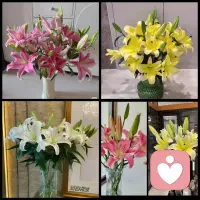 阳光下的心灵
 
当初满心欢喜考取家庭教育指导证书，是想先理顺自家的亲子与夫妻关系，更盼着能用这份专业，帮到更多在家庭里迷茫的人。
 
于是我满怀期待地走进了心理平台，却没想到，扑面而来的全是焦虑、抑郁与破碎：失衡的亲情、失控的亲密关系、触目惊心的伤害，还有无数困在黑暗里、无法自拔的灵魂。这些沉甸甸的负能量，像潮水一样漫过来，长期浸泡其中，只会被压抑和愤怒裹挟，慢慢失去自己的光。
 
我终究选择了及时止损，果断离场。我渐渐明白，真正的温暖，从来不是隔着屏幕承接无尽的黑暗，而是先守住自己的阳光，再伸手去拉那些困在深渊里的人。
 
我们生在阳光下，就该做有温度的教育者。用真诚做桥，用善意做光，去驱散心灵的阴霾，让每一个曾在黑暗里挣扎的人，都能重新拥抱属于自己的光明。配图