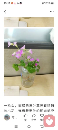 摘一把路边的野花点缀一天的心情
摘一把路边的野花点缀一天的心情
心情好了，啥病都没有了。
文/陈香莲
今早在路边一丛开着粉紫小花的三叶草撞进眼里，忍不住蹲下来摘了一小把。没有精致的花瓶，就找了个空塑料瓶，灌上清水插进去，往办公桌上一放，原本单调的工位瞬间就有了生气。

图片
图片

一抬头，嫩绿的三叶草托着娇俏的小花，连带着窗外的阳光都变得温柔起来。敲键盘累了，就看看这瓶从路边“捡”来的浪漫，所有的疲惫好像都被这抹鲜活的绿意揉碎了。

原来生活的美好，从来都不需要刻意奔赴。
它不是昂贵的鲜花，不是远方的风景，就是路边随处可见的三叶草，是风里的花香，是抬头撞见的晚霞，是那些被我们忽略的、触手可及的小确幸。

我们总说生活清苦，被工作填满的日子好像只剩下枯燥和疲惫。但其实，只要愿意停下脚步，美好从来都在身边：
是路边开得肆意的野花，是清晨落在肩头的阳光，是同事递来的一杯热咖啡，是下班路上吹过脸颊的晚风。

生活的底色或许平淡，但我们永远可以用自己的方式，给它添上色彩。
就像这瓶随手摘的三叶草，不用花钱，不用费力，却能在枯燥的工作日里，开出一整个春天的浪漫。

愿我们都能在忙碌的生活里，保持发现美好的眼睛，用路边的小花、清晨的微风、深夜的星光，把平凡的日子，过得热气腾腾、闪闪发光🌿

#生活小确幸 #治愈系 #工位美化 #发现身边的美 #三叶草的浪漫