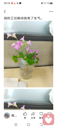 摘一把路边的野花点缀一天的心情
摘一把路边的野花点缀一天的心情
心情好了，啥病都没有了。
文/陈香莲
今早在路边一丛开着粉紫小花的三叶草撞进眼里，忍不住蹲下来摘了一小把。没有精致的花瓶，就找了个空塑料瓶，灌上清水插进去，往办公桌上一放，原本单调的工位瞬间就有了生气。

图片
图片

一抬头，嫩绿的三叶草托着娇俏的小花，连带着窗外的阳光都变得温柔起来。敲键盘累了，就看看这瓶从路边“捡”来的浪漫，所有的疲惫好像都被这抹鲜活的绿意揉碎了。

原来生活的美好，从来都不需要刻意奔赴。
它不是昂贵的鲜花，不是远方的风景，就是路边随处可见的三叶草，是风里的花香，是抬头撞见的晚霞，是那些被我们忽略的、触手可及的小确幸。

我们总说生活清苦，被工作填满的日子好像只剩下枯燥和疲惫。但其实，只要愿意停下脚步，美好从来都在身边：
是路边开得肆意的野花，是清晨落在肩头的阳光，是同事递来的一杯热咖啡，是下班路上吹过脸颊的晚风。

生活的底色或许平淡，但我们永远可以用自己的方式，给它添上色彩。
就像这瓶随手摘的三叶草，不用花钱，不用费力，却能在枯燥的工作日里，开出一整个春天的浪漫。

愿我们都能在忙碌的生活里，保持发现美好的眼睛，用路边的小花、清晨的微风、深夜的星光，把平凡的日子，过得热气腾腾、闪闪发光🌿

#生活小确幸 #治愈系 #工位美化 #发现身边的美 #三叶草的浪漫