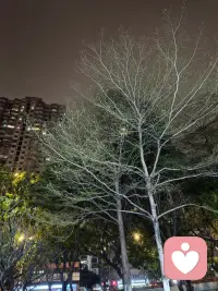 行动是最好的风水


“我又没什么大事，也需要做咨询吗？”

这是常被问到的问题

其实，咨询室里的故事不总是关于眼泪和创伤

越来越多的人带着对未来的好奇而来：
想更了解自己、探索潜能、让事业或关系更上一层楼

痛苦不是唯一的入场券，成长才是

很高兴陪你一起，创造你想要的✨
