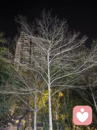 行动是最好的风水


“我又没什么大事，也需要做咨询吗？”

这是常被问到的问题

其实，咨询室里的故事不总是关于眼泪和创伤

越来越多的人带着对未来的好奇而来：
想更了解自己、探索潜能、让事业或关系更上一层楼

痛苦不是唯一的入场券，成长才是

很高兴陪你一起，创造你想要的✨