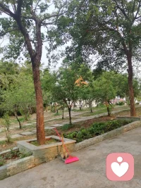 刚才接了广东的朋友一单，全部讲白话，要知道广东省很大，不是所有广东人都会讲白话，好在我什么话都会听会讲，白话，普通话，英语，日语，客家话都会都会。做一个充满正能量的心理咨询师.