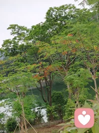 走进风景如画的大自然什么烦恼也没有了，大自然就是最好的疗愈师。配图