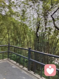 走进风景如画的大自然什么烦恼也没有了，大自然就是最好的疗愈师。配图