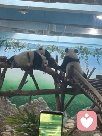 正能量满满的，向阳而生，逐光而行。配图