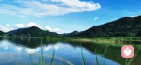 因为懂得所以慈悲。因为慈悲所以善良配图