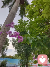 请把：我等你来爱我，
变成：请你这样爱我。
因为对方不是你肚子里的蛔虫，他们哪里知道你真的想什么
