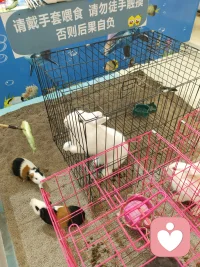 请把：我等你来爱我，
变成：请你这样爱我。
因为对方不是你肚子里的蛔虫，他们哪里知道你真的想什么