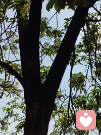 如果爱不能唤醒你，那么生命就用痛苦来唤醒你。
如果痛苦不能唤醒你，那么生命就用更大的痛苦来唤醒你。
如果更大的痛苦不能唤醒你，那么生命就用失去唤醒你。
如果失去不能唤醒你，那么生命就用更大的失去唤醒你，包括生命本身。
生命会用生命的方式，在无限的时间和空间里，无止境的来唤醒你。
生命会用生命的体验，在无尽的生死和轮回里，不停息的来唤醒你，直到你醒来。配图