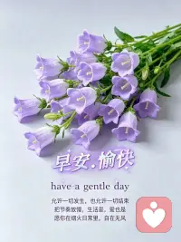 逆风时扎根，顺风时开花；优秀的生活状态，不是仰望别人， 而是把自己活成一道光，早安~~



​配图