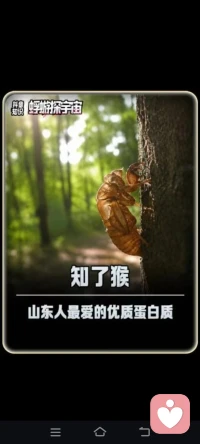 卡点再大，大不过你

高人再高，架不住你不想改变

向内觉醒，才是最好的赋能配图