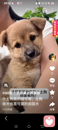 【先让自己活过来，别的再说】

状态不对的时候，别硬撑

关掉闹钟，不听课，不干活，不发朋友圈
就是让自己空着

以前会骂自己“你怎么这么懒”，现在会跟自己说：“你先活过来，别的再说”

活过来了，一切都会不一样的