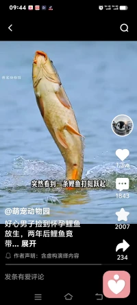 💡育儿核心原则（家长必看）
 
育儿最大的误区：只盯成绩，忽略教养与心态。
 
真正优秀的孩子，都是被「正确的家庭环境」养出来的。
顶级家庭教育，只做三件事：
✅ 稳定情绪
✅ 建立规则
✅ 高质量陪伴
 
一、情绪养育：父母情绪，决定孩子一生底色
 
很多孩子自卑、敏感、叛逆、暴躁，根源都在家庭情绪不稳定。
 
家庭教育黄金法则：
 
1. 不对孩子乱发脾气
2. 不迁怒、不翻旧账、不言语打压
3. 孩子犯错先稳住情绪，再处理事情
 
父母温和，孩子自信；父母暴躁，孩子胆小叛逆。
 
二、沟通养育：改掉3句最伤孩子的话
 
❌“你怎么这么没用”
❌“别人家孩子都比你强”
❌“我都是为了你好”
 
✅家长正确沟通话术：
 
1. 没关系，我们下次改进
2. 我看到你很努力了
3. 你愿意和妈妈说说你的想法吗？
 
好的沟通，能治愈孩子一生；坏的语言，能毁掉孩子童年。
 
三、规则养育：温柔而坚定，爱要有边界
 
没有规矩的爱＝溺爱
没有包容的规矩＝控制
 
家庭一定要固定3条底线规则：
 
1. 作息自律：早睡早起、不拖延
2. 电子产品自律：限时使用、不沉迷
3. 品行自律：懂礼貌、知对错、承担责任
 
规则不用多，长期坚持，孩子自然自律优秀。
 
四、习惯养育：小学阶段比成绩更重要的3件事
 
1. 阅读习惯：拉开孩子差距的核心
2. 专注习惯：决定听课效率、学习成绩
3. 自理习惯：独立收拾、管理时间、承担小事
 
成绩是一时的，好习惯是孩子终身的竞争力。
 
五、不同年龄段家庭教育重点
 
🔹 6岁前：养安全感
多陪伴、多肯定、少吼叫，建立亲子依恋
 
🔹 6–12岁：养习惯、养自信
抓自律、抓态度，多鼓励、少对比
 
🔹 12–18岁青春期：养尊重、养独立
少唠叨、少控制、多倾听、给空间
 
六、家长每日自查（简单落地）
 
1. 今天有没有情绪失控？
2. 今天有没有否定孩子？
3. 今天有没有有效陪伴？
4. 今天有没有坚持家庭规则？
 
✨结尾
 
家庭教育的终极目的：
不是培养一个满分的孩子，
而是养育一个阳光、自律、善良、内心富足的孩子。
最好的教育，是父母不焦虑，孩子不内耗❤

📣温馨提醒：有时间记得学习哦配图