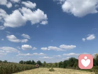 很多家长找我迫切想要一套标准化流程、清晰的执行步骤，以为拿到方案，难题就有解
 
这份渴求的底层，是内心无法耐受不确定性
习惯依靠计划、时间表、确定的结果，获得安全感

一旦前路没有预设路线，恐慌与无力感便扑面而来
 
青少年疗愈、家庭系统的改变，偏偏没有标准答案
没有固定进度表，无法预判周期，过程充满反复

执着寻找捷径与固化步骤，很容易被焦虑推着急于求成，忽略孩子真实的内在节奏
 
我们能拥有前行的大方向
但要学着容纳路上所有未知与变数

耐受不确定，才是成长真正的功课✨
​
​#我是晴天你身边的心理赋能师