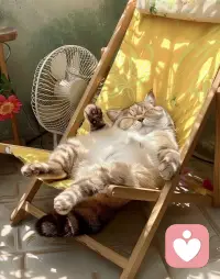 【致累坏了的普通人】

在这个大家都在拼命赶路、比谁跑得更快的时代，我想特别对你说一句：停下来真的没关系。

是不是感觉最近空气都很紧绷？身边好像都在催着我们“快点长大”、“快点成功”。

但其实，生活没有那么多必须满分的时刻。

不想社交的时候，就安安静静地一个人待着；
觉得工作学习难的时候，允许自己摆烂一会儿；
觉得委屈的时候，就哭出来，真的不丢人。

我们不是超人，只是普普通通的凡人，能把一日三餐照顾好，就已经很厉害了。

累了就歇歇，前面的路不用太赶，我陪你慢慢走。

💌 如果你有心事，随时来找我，我做你最稳的情绪树洞。配图