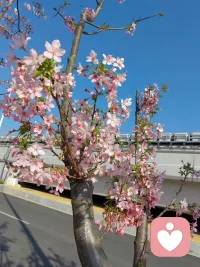 把情绪稳定好 把身体照顾好 祝我们身心健康