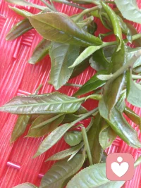 慢慢理解世界，慢慢更新自己，在平凡的日子里，悄悄变优秀。