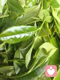 慢慢理解世界，慢慢更新自己，在平凡的日子里，悄悄变优秀。