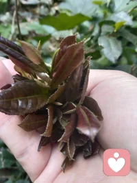 慢慢理解世界，慢慢更新自己，在平凡的日子里，悄悄变优秀。