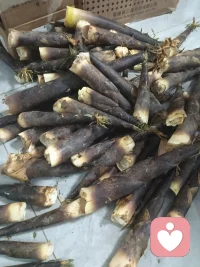 笋扎根黑暗，只为奔赴天光，节节向上，满满能量配图