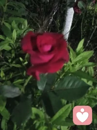 慢一点，感受风拂过耳畔，感受阳光落在肩头，感受烟火日常里的细碎温柔。配图