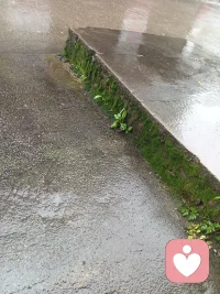 青苔爬满石阶，雨水浸润时光，在湿漉漉的宁静里，感受生活最温柔的慢。配图