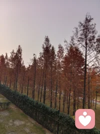 不纠结过往，不忧虑将来，活好当下即是人间好时光。配图