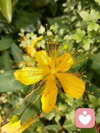 慢慢生活，静静自愈，不求光芒万丈，但求 内心坦荡安宁。配图