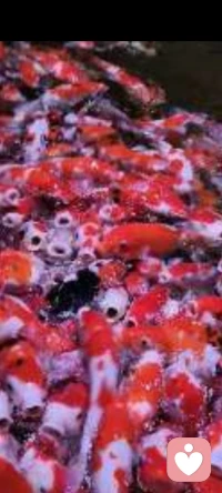 每个人内心都有一个小太阳，多变的人用内在的小太阳照耀着才会有质的飞跃配图