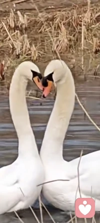 悲伤与抑郁那都不是事，重点是给自己一个小目标，自信别人才能相信你，不要害羞更不要害怕，因为我们地球人长的都是一样的（有鼻子有眼的），抑郁者内心都是善良的，配图