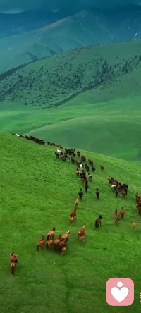 爱自己才能爱别人，相信自己才能相信别人，学会拒绝，才能活得更洒脱配图