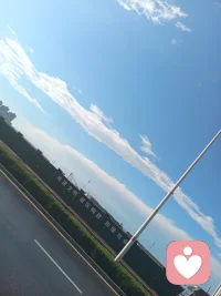 一首很老的英文歌曲歌词很美，分享一下
It's kinda funny how life can change
人生的转折，总是充满奇妙
Can flip 180 in a matter of days
短短数日，便会天翻地覆
Sometimes love works in mysterious ways
爱，总以神秘的方式降临
One day you wake up, gone without a trace
一朝梦醒，爱已悄然无踪
I refuse to give up, I refuse to give in
我绝不放弃，绝不妥协
You're my everything
你是我的全部意义配图
