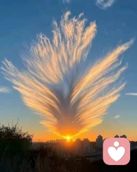 无论是朝霞还是夕阳都会散发出这么耀眼的光彩，就像我们
每个人都是一道独立的风景线，允许自己阳光灿烂，也要允许自己有短暂的静默，如果你心里有什么开解不了的事情，或者想说找不到人说的事情你可以来找我，大家好，欢迎来到小安倾听的世界