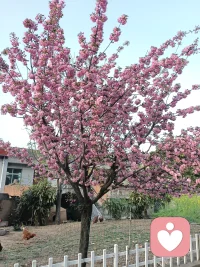 工作的无力感和压力让人压抑，生活少了份轻松、自由和美好！如果你也这样，给自己一次疏解情绪的机会，还自己自由的灵魂！配图