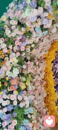 生活总有惊喜，遇见你很高兴！