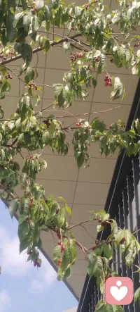 生活总有惊喜，遇见你很高兴！