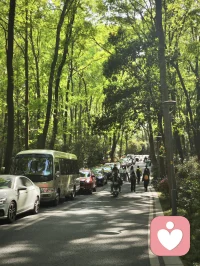 00后上海实习的日常配图