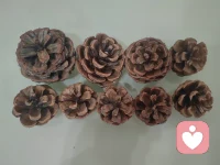 大山的馈赠。配图