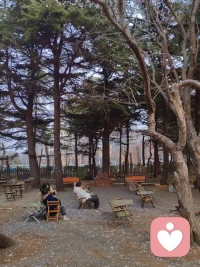 春来了，花开了。