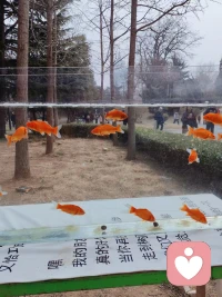 春来了，花开了。