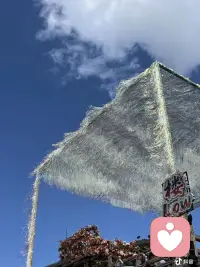 能救自己的只有自己。你是最厉害的配图