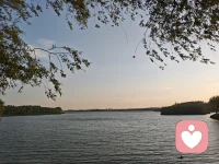 晚柳垂烟覆碧湖，
柔波澹澹洗尘枯。
借兹湖上悠然意，
倾听人间万般孤。配图
